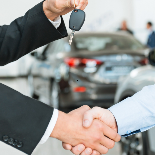 Untitled design (16)